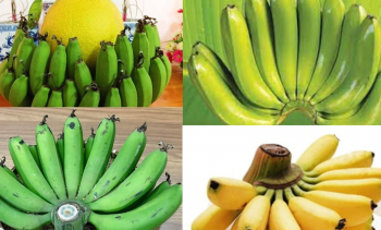 Thờ chuối trên bàn thờ gia tiên